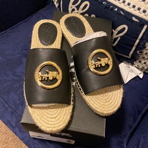 Coach slides
